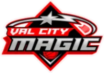 Home Team Logo